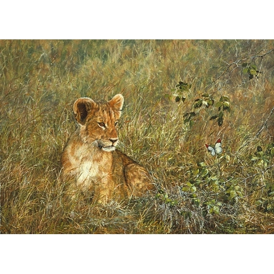 Simon Combes - Lion Cub and Butterfly SMALLWORK EDITION ON