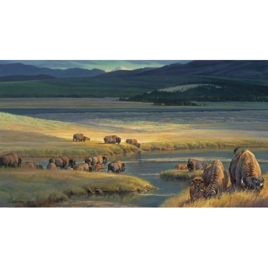 Nancy Glazier - Buffalo Valley By Nancy Glazier