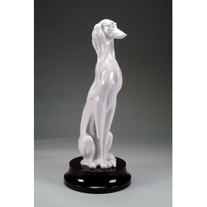 Giuseppe Armani-Saluki Hound