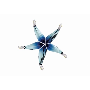 Swarovski Crystal-Swarovski Cantil Ocean Blue Starfish