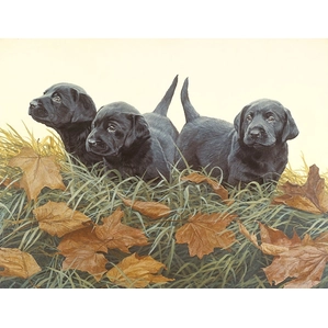 John Weiss-Lab Puppies ANNIVERSARY EDITION ON