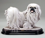 Giuseppe Armani-Pekingese