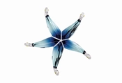 Swarovski Crystal-Swarovski Cantil Ocean Blue Starfish