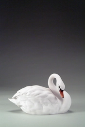 Giuseppe Armani-Swan Large