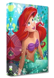 Arcy-The Little Mermaid