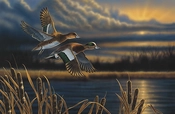 Richard Clifton-Widgeon - Out Front Limited Edition Print