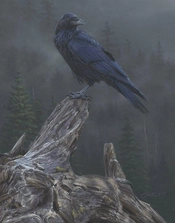 Daniel Smith-Raven´s Roost