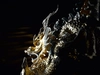 Lladro - Great Dragon - Golden Lustre