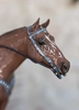 Lladro - Quarter Horse