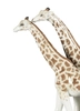 Lladro - Giraffes