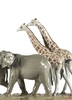 Lladro - African Savannah Wild Animals