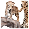 Swarovski Crystal - Mirembe - Cheetahs