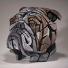 Enesco EDGE - Bull Dog Bust