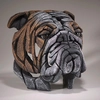 Enesco EDGE - Bull Dog Bust