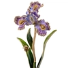 Jay Strongwater - Vincent Iris Objet - 100x100