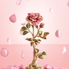 Jay Strongwater - Eternity - Rose Objet - 100x100