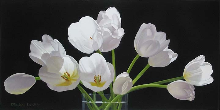 Brian Davis Twelve Tulips 