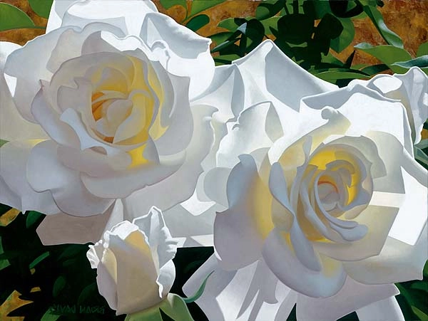 Brian Davis White Roses Aglow 