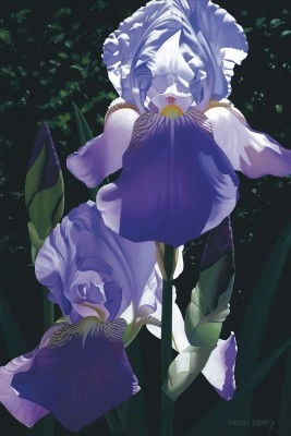 Brian Davis Two Blue Irises Giclee On Canvas
