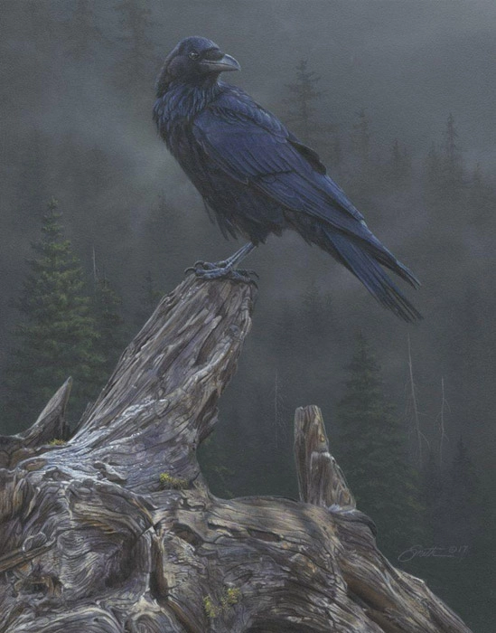 Daniel Smith Raven´s Roost Giclee On Canvas