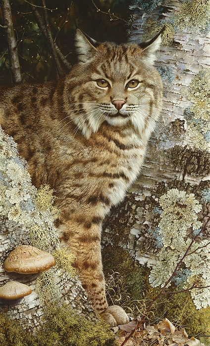 Carl Benders FOREST SENTINEL Giclee On Canvas