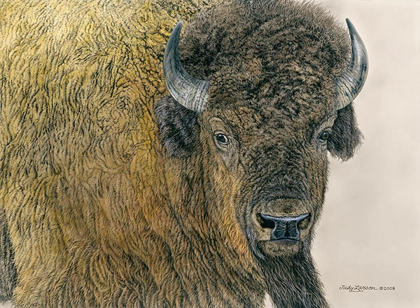 Judy Larson Slow Bull Canvas