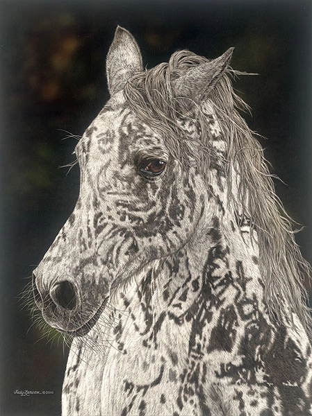 Judy Larson American Horse Canvas