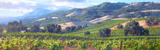 June Carey Song of the Wine Country Canvas