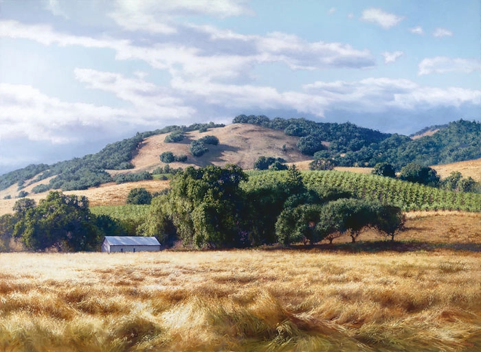June Carey California Wine Country Canvas
