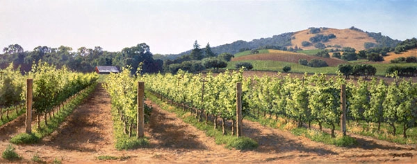 June Carey Vineyard Before the Harvest Master Works Edition On Canvas