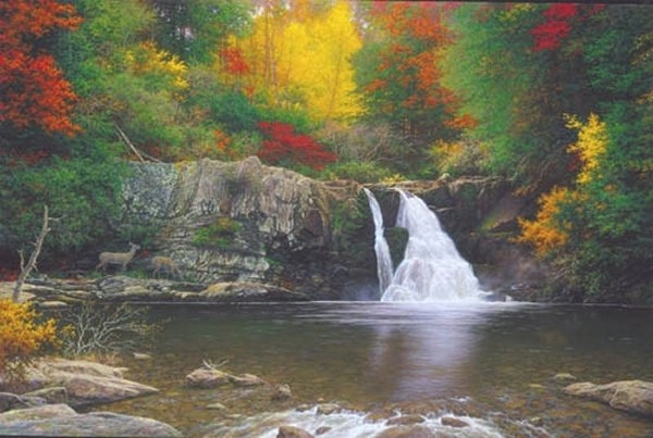 Larry Dyke Autumn In The Smokies By Larry Dyke Giclee On Canvas Artist Proof